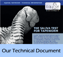 technical_document