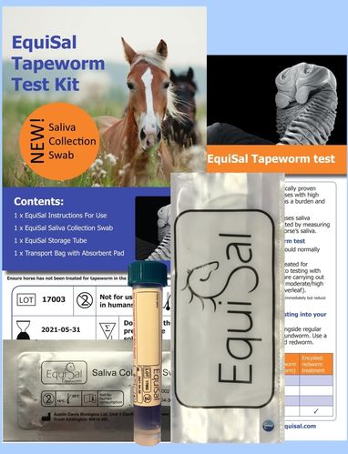 EquiSal Tapeworm Test and kit