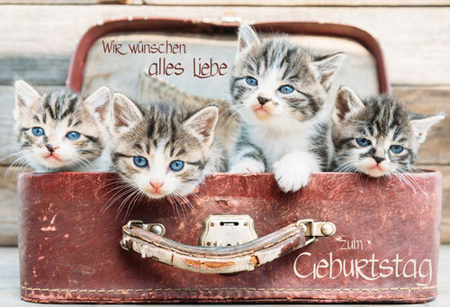 G1846 (Geburtstag)