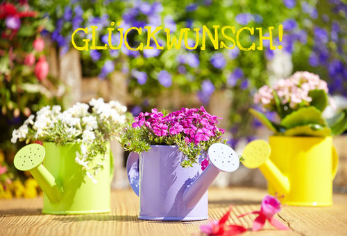 G2071 (Geburtstag)