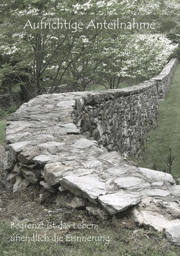 XT177 (Trauer Economy)