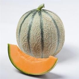 Melon charentais "Cyrano F1"