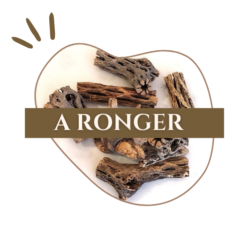 logo_a_ronger