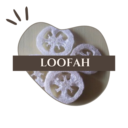 logo_loofah