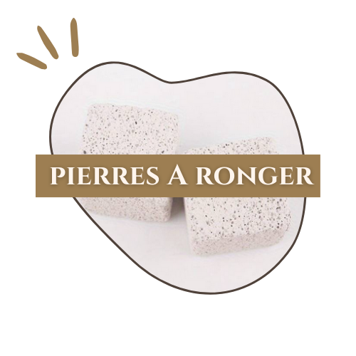 pierres_a_ronger