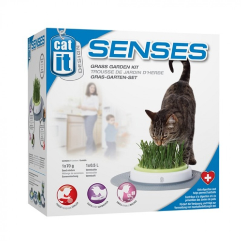 catit senes grass garden kit